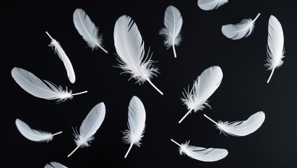 Abstract White Bird Feathers Descending in The Air. Floating Feathers. Softness of Feather Against Background.