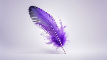 Abstract Gorgeous Purple Feather Descending in The Air. Freedom, Symbol of Peace. Feather on White Backdrop.
