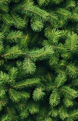 Seamless Background of Lush Green Fir Tree Branches for Christmas and New Year Decor