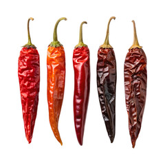 Dried chili peppers in various colors and sizes, showcasing their unique textures and shapes