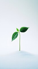 Green Leaf Sprout Growing on Coin Against White Background Symbolizing Business Start and Success