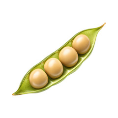 Fresh green soybean pod with four beans inside, showcasing natural beauty and nutrition