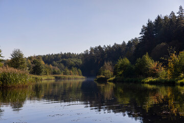 Fototapeta na wymiar mixed forest and river in sunny weather in early August