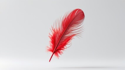 Single Red Feather Detached Against White Background. Descending Feather. Down Swan Feather.