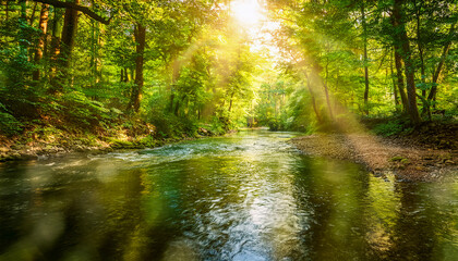 Obraz premium A tranquil river winds through a lush forest, with sunbeams filtering through the trees, creating a serene summer landscape.