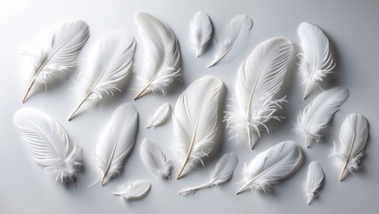 Set of isolated white feathers.