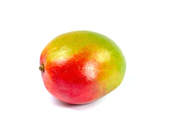 Mango, Mangifera indica, vor wei&szlig;em Hintergrund