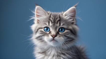 Fototapeta premium Funny smiling gray tabby adorable kitten with blue eyes. Portrait of a lovely fluffy cat.