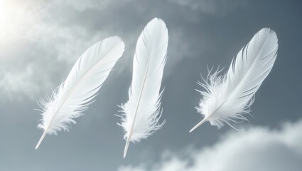 Obraz premium White Feathers Gliding Through the Sky. Fluffy Downy, Soaring Feathers. Softness of Feathers Drifting.
