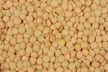 A top-down, close-up shot of a mass of green lentils, showcasing their texture and color