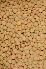 A top-down, close-up shot of a mass of green lentils, showcasing their texture and color
