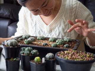 desert plant green cactus Astrophytum cacti woman people hand home garden fresh watering background beautiful houseplant flower leaf botany succulent nature tropical tree decoration pot select focus
