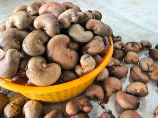 Cashew Nuts: Close-Up of Raw Cashews