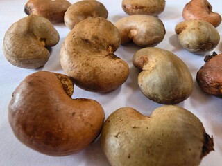 Raw Cashews: Natural Texture and Shape