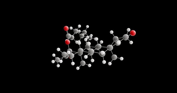 Hydroxyprogesterone caproate molecule, rotating 3D model of progestogen, looped video on a black background