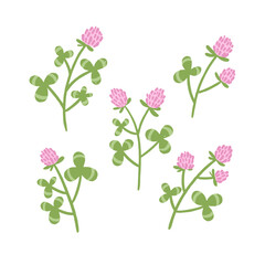 Set of hand drawn clover flowers. Vector illustration on isolated background.
