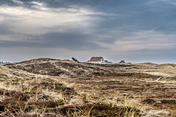 Coastal Landscape with Grass-Covered Dunes and Charming Houses Under Overcast Sky, Lild Denmark