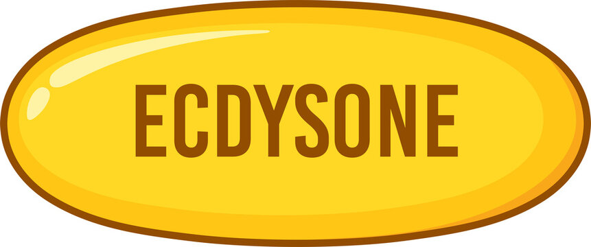 ecdysone