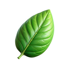 Fototapeta premium 3D render green leaf on a white background