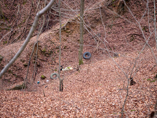 A forested ravine covered in fallen leaves, with discarded tires and trash scattered throughout, highlighting environmental pollution and man's impact on nature.