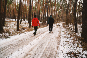 Two men walk through a winter forest, walking their dogs.