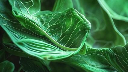 Leaf texture close-up. Macro photography of leaf vein patterns. Close-up of green leaf cells. Detailed shot of a leaf.