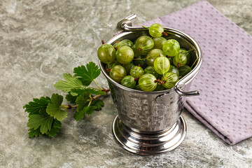 Ripe sweeet and juicy gooseberry