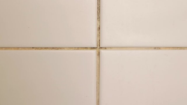 Dirty bathroom