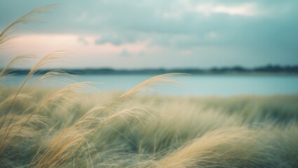 Breeze of summer. Dune grass sways in the wind with a scenic backdrop.