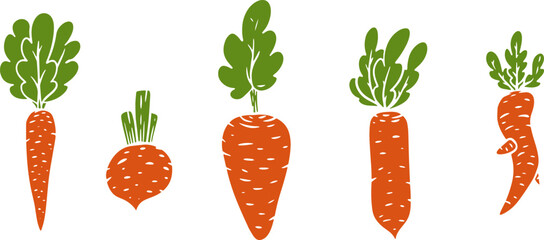 Vector illustration of carrot in cartoon flat style different shapes. Set of fresh vegetables plants for healthy food. Collection design elements for child textile print, stamp, kids education book.