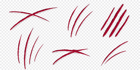 Claw marks scratches silhouette, cat or wild animal scrape track scratches paw shape isolated on white background. Nails trace texture with torn edge.
