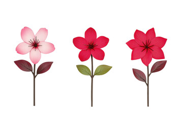 Obraz premium Three stylized flowers with pink and red petals and green leaves on stems, isolated on transparency background. flowers are arranged in row, showcasing different shades and petal designs