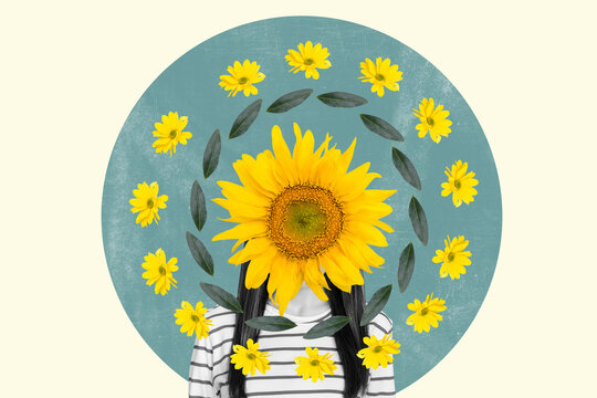 Exclusive sketch collage of anonym girl avatar instead head chrysanthemum flower bloom spring holiday march event sunflower petal