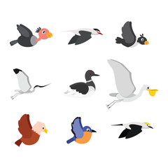 Obraz premium vector drawing set flying birds