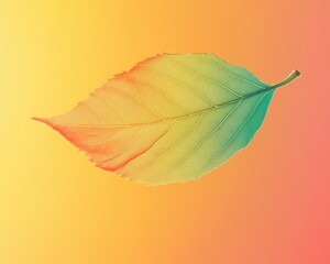 Fototapeta premium Colorful Leaf Floating on Vibrant Gradient Background