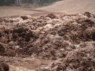 large piles of cow dung  farmer's field with forest in the background in spring