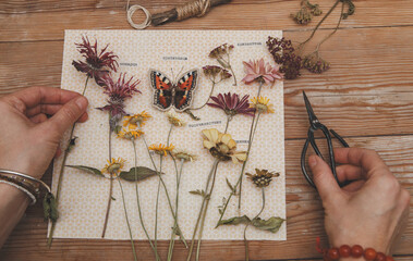 Girl making herbarium. Dried herbs and dried flowers for making herbarium. Charming dried flowers (monarda, chrysanthemums, yarrow) with embroidered butterfly, labeled in Russian.