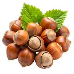Obraz premium hazelnuts on white background