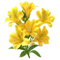 Obraz premium Bouvardia isolated on white background for PNG