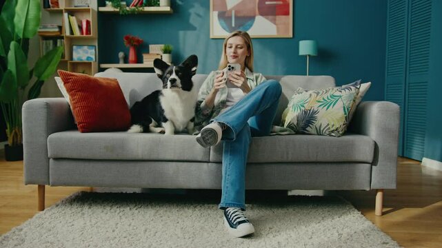 Smiling Caucasian female sitting on modern sofa at home and holding smartphone. Looking at screen while petting beloved dog. Chatting with someone remotely. Corgi resting beside. Enjoying cozy moment.