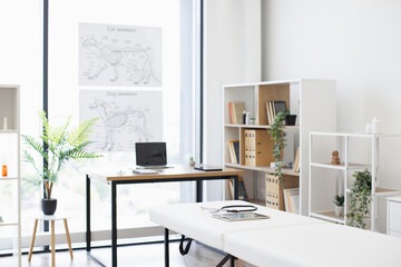 Bright and modern veterinary examination room with posters of animal anatomy, examination table,...