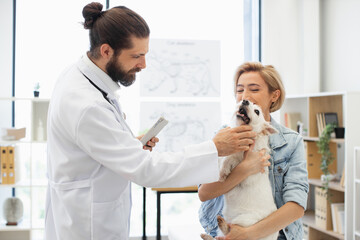 Veterinarian conducting routine checkup shows professional care. Female owner holding dog loving...