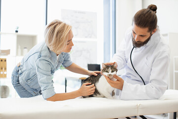 Obraz premium Male veterinarian using stethoscope to check health of tabby cat, female owner assisting, in modern clinic. Image showcasing healthcare, animals, compassion, and care.