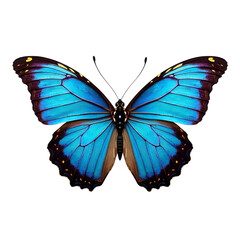 Obraz premium Detailed Close-up of a Vibrant Blue Butterfly on Transparent Background