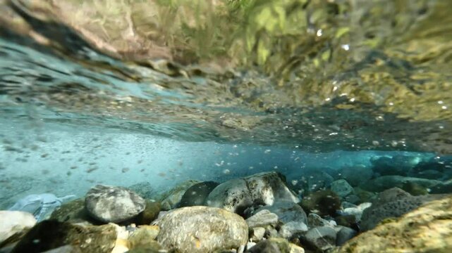 split shot hal underwater half surface of a river flowing in nature 