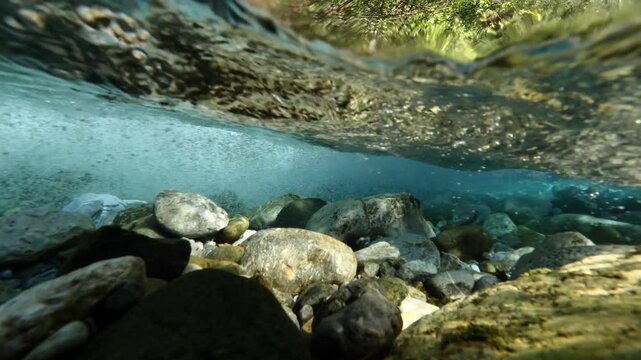 split shot hal underwater half surface of a river flowing in nature 