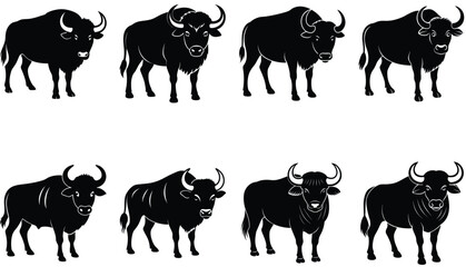 Buffalo Vector Shilhouette Bundle set