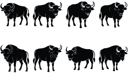 Buffalo Vector Shilhouette Bundle set