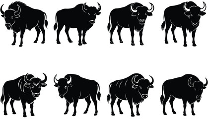 Buffalo Vector Shilhouette Bundle set