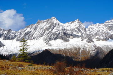Landscape Closeup Shuangqiao Gou Valley - Most Beautiful Valley with Snow Mountain in Mount Siguniang National Park in Xiaojin Sichuan China - Dolly in Footage Autumn Season Budala Peak Vi